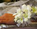 Add a beautiful corsage to your attire for prom or homecoming! 